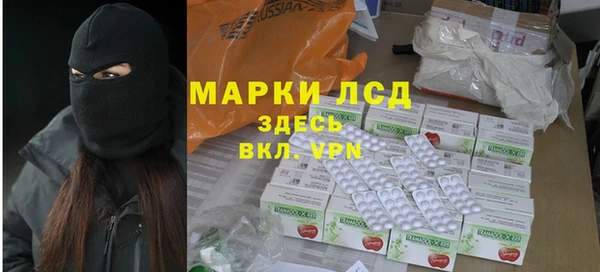 индика Нефтекумск