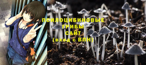 прущий лед Новозыбков