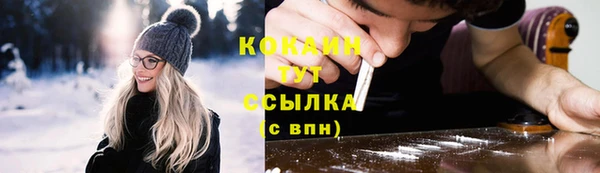 прущий лед Новозыбков