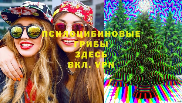 мдпв Новодвинск