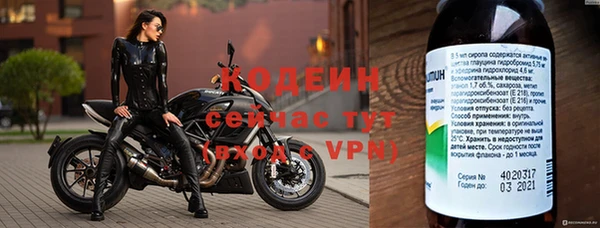 прущий лед Новозыбков