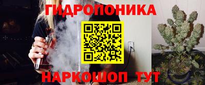 молекула духа Жуковский
