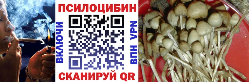 магазин  наркотиков  Лениногорск  Галлюциногенные грибы MAGIC MUSHROOMS 