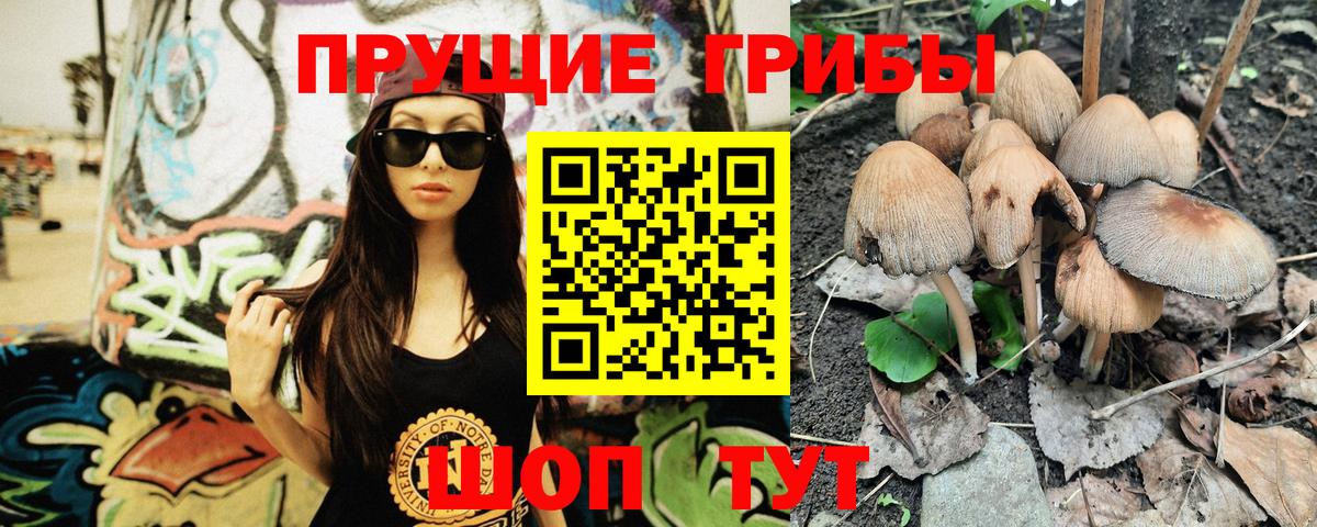 Псилоцибиновые грибы Psilocybine cubensis Лениногорск