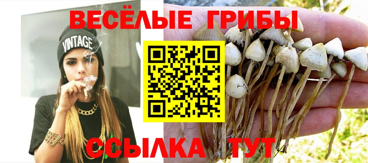 Галлюциногенные грибы Magic Shrooms  где найти наркотики  Лениногорск 